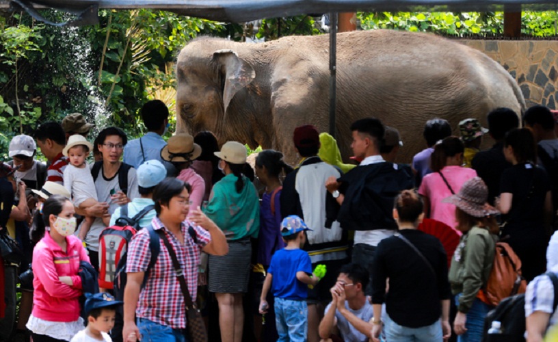 Người dân chen lấn vào Thảo Cầm Viên Sài Gòn chơi lễ