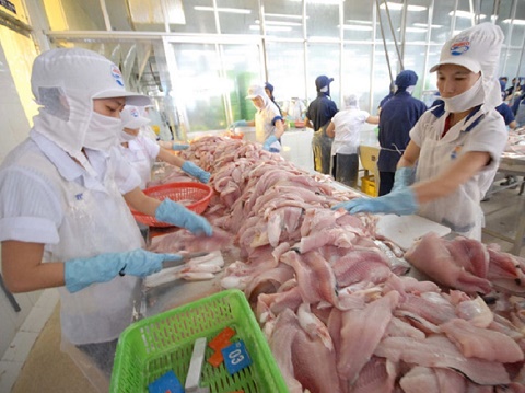 Xuất khẩu thủy sản sang ASEAN tăng mạnh