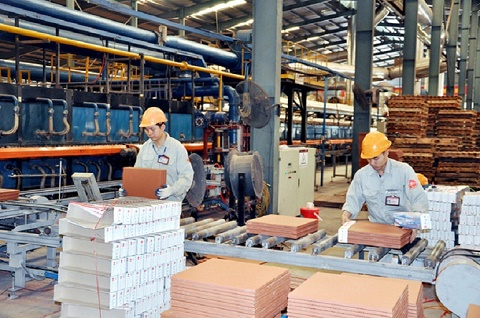 Doanh nghiệp ngoại tìm cách sa thải người lao động trên 35 tuổi