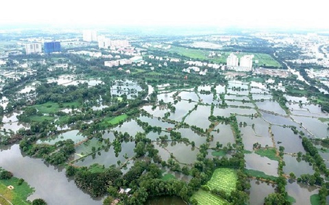TPHCM chuyển đổi 26.000ha đất nông nghiệp: Thị trường bất động sản sẽ có biến động