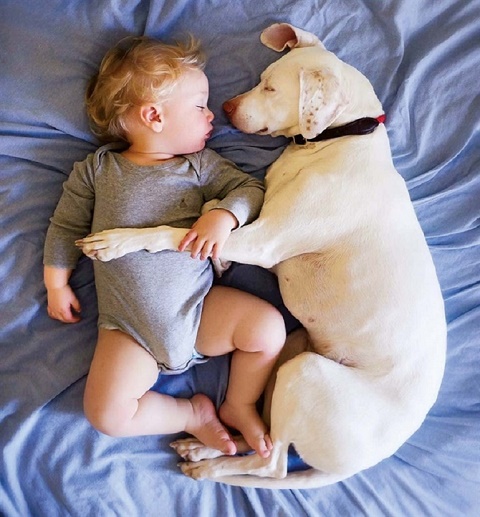 Mùa mưa, coi chừng nhiễm bệnh ngoài da từ thú cưng