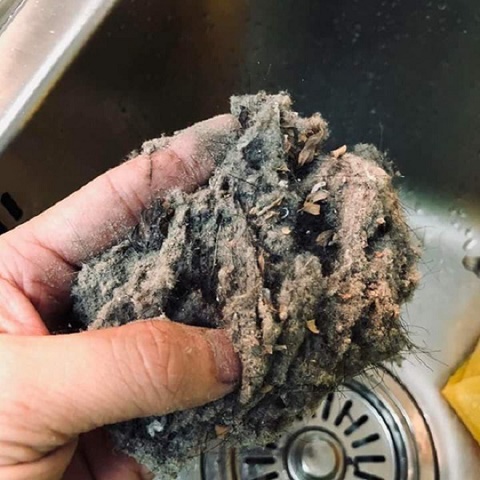 Khu dân cư bị bụi vải đe doạ, chính quyền bảo tại… cỏ lau