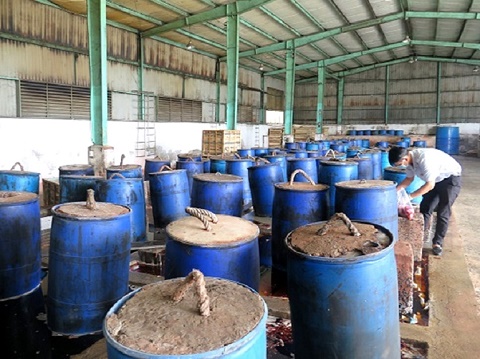 TP.HCM: Hàng chục tấn muối ớt trong bể xi măng trộn xác ruồi, gián, cào cào