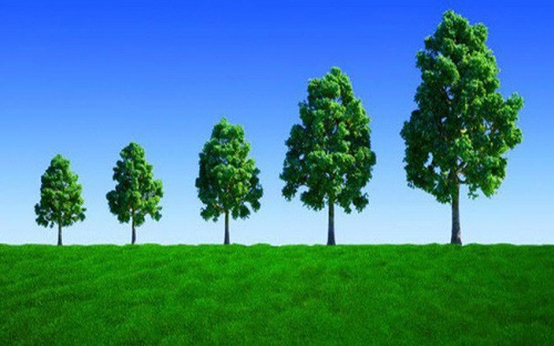 Khối ngoại không ngừng mua ròng, Vn-Index tiếp tục tăng điểm trong phiên 12/9