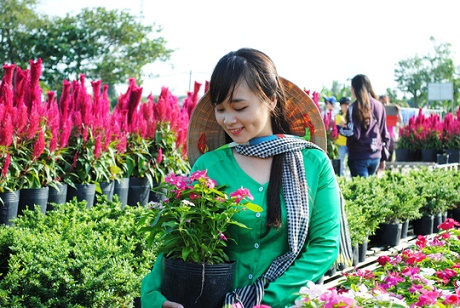 Nông dân làng hoa Sa Đéc bỏ tiền túi làm du lịch