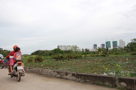 Chủ tịch UBND TP HCM: Lấy lại đất nếu DN không triển khai dự án