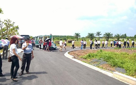 Nhiều nhà đầu tư đang