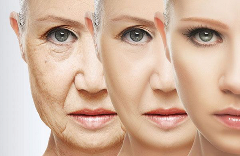 Tất cả mọi điều bạn cần biết về collagen