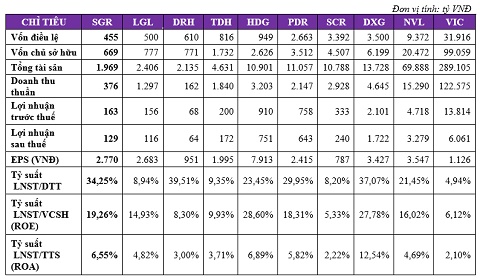 Saigonres Group báo lãi trước thuế hơn 163 tỷ đồng