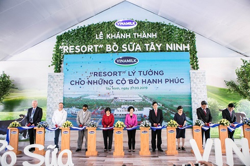Resort bò sữa Vinamilk Tây Ninh - Ngôi nhà của những cô bò hạnh phúc