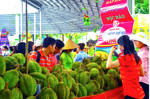 ĐẬM ĐÀ BẢN SẮC NAM BỘ VỚI LỄ HỘI TRÁI CÂY NAM BỘ 2019