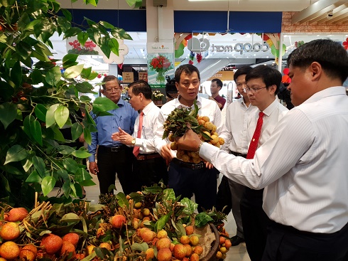 Hơn 700 cửa hàng bán lẻ Saigon Co.op trên toàn quốc phân phối vải thiều chính gốc Lục Ngạn