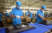 Bộ Tài chính đang làm rõ 28 doanh nghiệp có