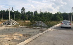 Dự án 