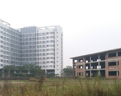 Doanh nghiệp tạm ngừng hoạt đông trong lĩnh vực bất động sản chiếm tỷ lệ cao nhất