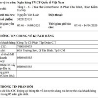 C.T Group hoàn toàn không có dư nợ trong 5 năm gần đây