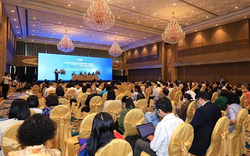 SCB nhận cấn trừ nợ lô đất