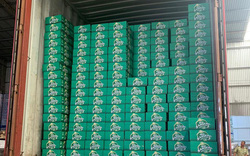 Đề nghị truy tố giám đốc cùng pháp nhân Công ty bia Sài Gòn Việt Nam