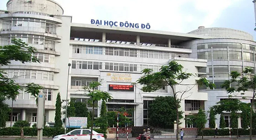 Xác định 203 người được Đại học Đông Đô cấp bằng giả