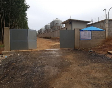 Trại nuôi heo Công ty New Hope Bình Phước xả nước thải thẳng ra môi trường