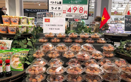 Bán gần hết 20 tấn vải thiều trong ngày đầu cập bến Nhật Bản, giá 350 ngàn đồng/kg