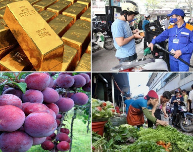 Tiêu dùng trong tuần (từ 22-27/6/2021): Giá vàng, xăng dầu, thực phẩm đồng loạt tăng mạnh