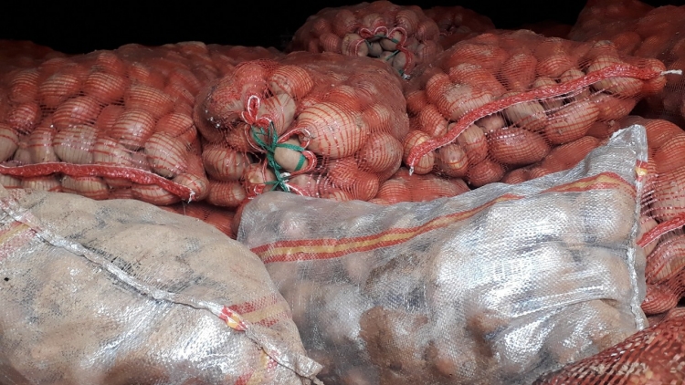 Khoai tây và hành tây Trung Quốc đổ về Đà Lạt