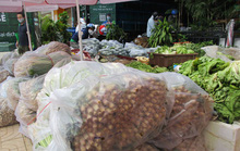 Nguồn cung nông sản tiếp tục tăng