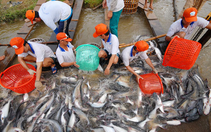 Khẩn cấp tìm đầu ra cho nông sản