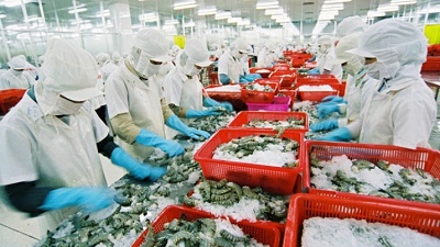 Xuất siêu gần 3,3 tỷ USD hàng nông lâm, thủy sản
