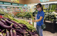 Bà Rịa- Vũng Tàu: Nhà hàng, dịch vụ ăn uống tại một số huyện được hoạt động trở lại