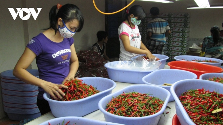 Nhiều mặt hàng nông sản lên giá, người dân phấn khởi