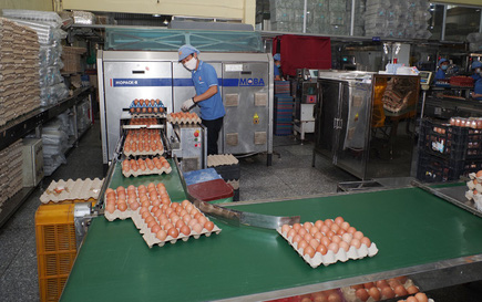14 hiệp hội kiến nghị các giải pháp 