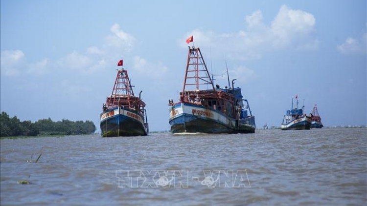 EC sẽ họp trực tuyến về gỡ thẻ vàng IUU đối với Việt Nam