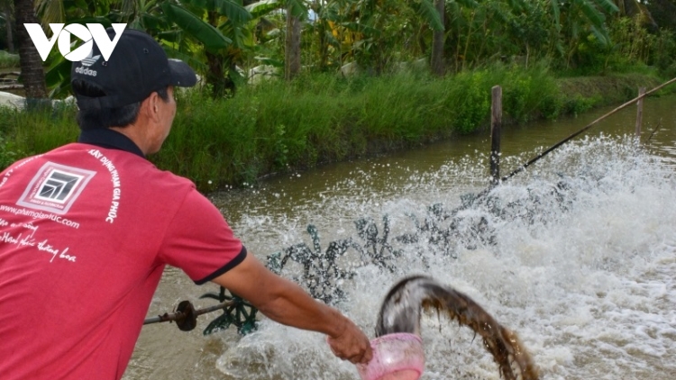 Doanh nghiệp Miền Tây khốn đốn trong