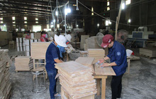 Thách thức mới của ngành gỗ