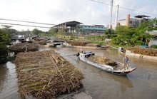 Đường nhập khẩu ồ ạt tràn vào Việt Nam