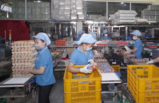 Công nhân trở lại TP.HCM làm việc, nhiều doanh nghiệp tăng ca chạy đơn hàng Tết