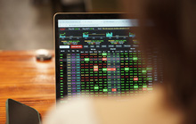 Chứng khoán ngày 3-11: Tiếp tục khởi sắc