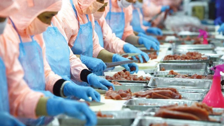 “Lệnh 248” và “Lệnh 249” tác động đến doanh nghiệp Việt Nam như thế nào?