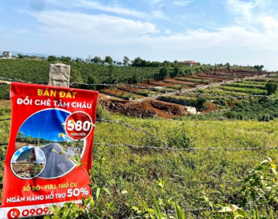 Bùng phát tình trạng phân lô tách thửa, Thanh tra tỉnh Lâm Đồng vào cuộc