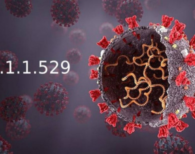 Bộ Y tế thông tin về các biện pháp phòng chống biến chủng mới Omicron