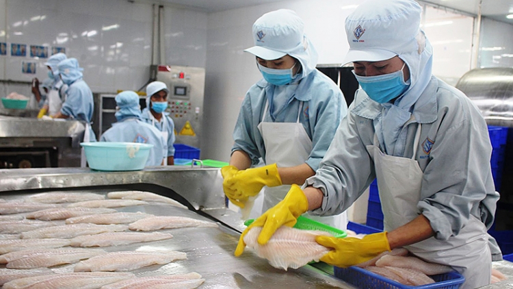 Xuất khẩu nông, lâm, thủy sản năm nay sẽ vượt 44 tỷ USD