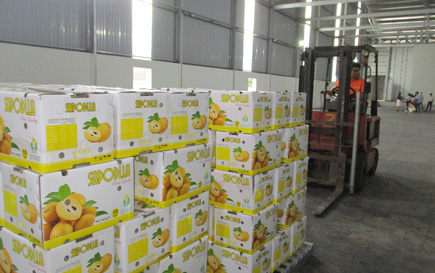 Xuất khẩu giữ vững