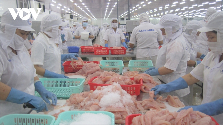 Sau 5 năm triển khai, sự kiện “Ngày của phở” do Báo Tuổi trẻ phát động đã có nhiều bước tiến. “Ngày của phở 12/12” năm nay được khởi động từ tháng 9/2
