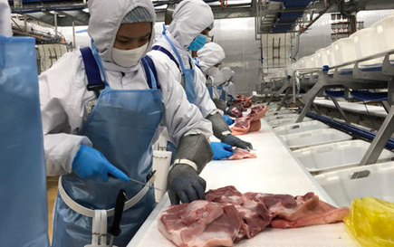 Sản xuất an toàn trong đại dịch, cách nào?