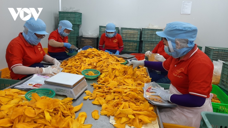 GDP năm 2021 tăng 2,58% dù bị ảnh hưởng nặng nề của dịch Covid-19