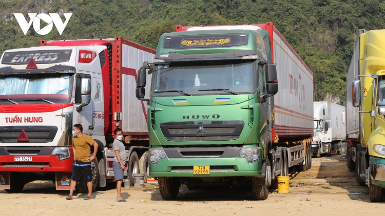 Lạng Sơn hỗ trợ tiêu thụ nông sản ùn tắc qua nền tảng số