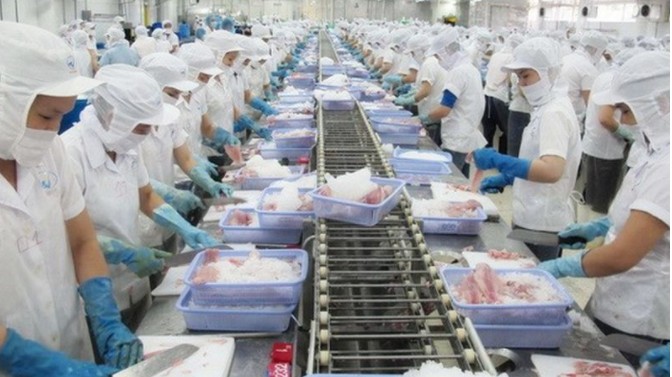 Xuất khẩu mực, bạch tuộc năm 2021 đạt trên 600 triệu USD