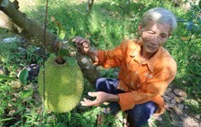 Vì sao doanh nghiệp bất động sản cần phải chuyển đổi số?